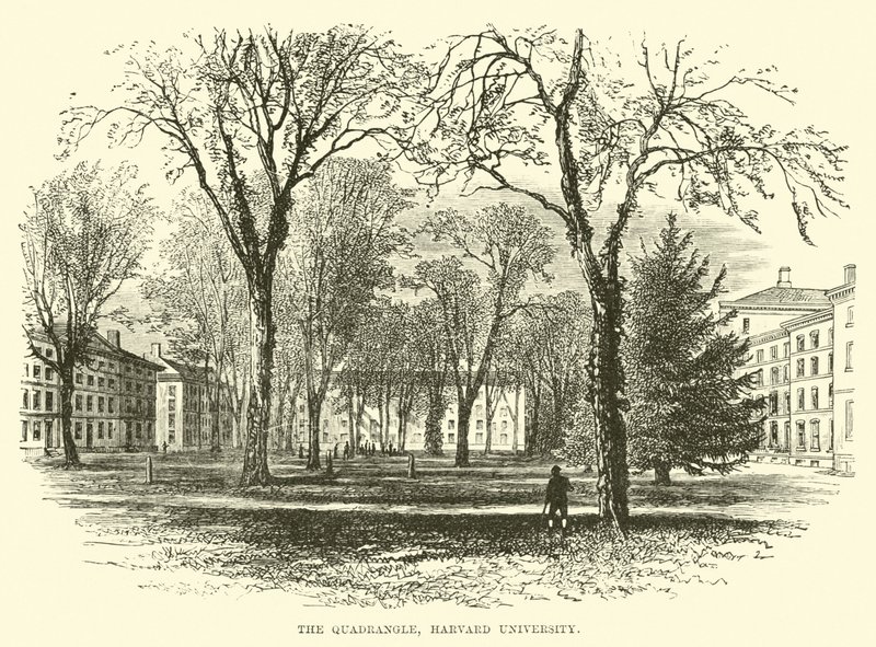 The Quadrangle, Harvard University av English School