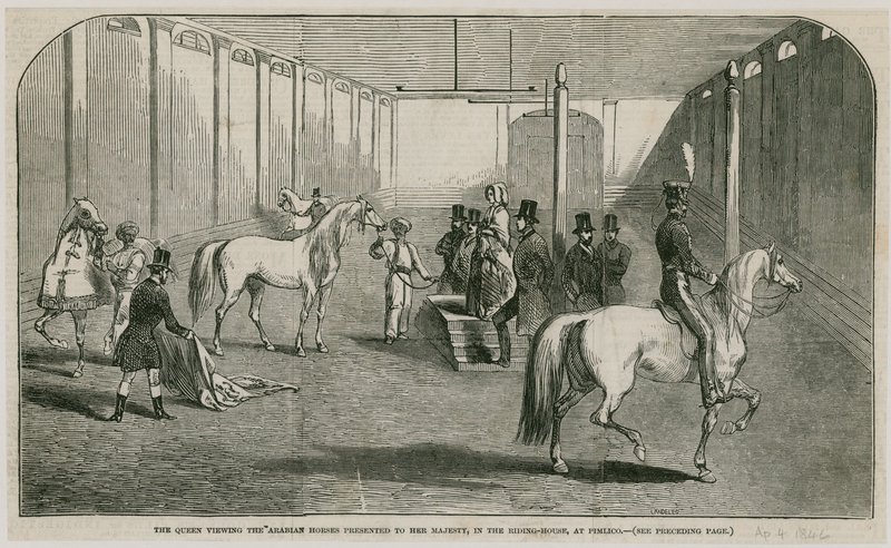 Dronningen ser på de arabiske hestene presentert for hennes Majestet, i ridehuset ved Pimlico av English School