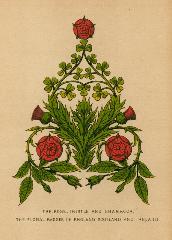 Rosen, Thistle og Shamrock. Blomstermerkene i England, Skottland og Irland av English School