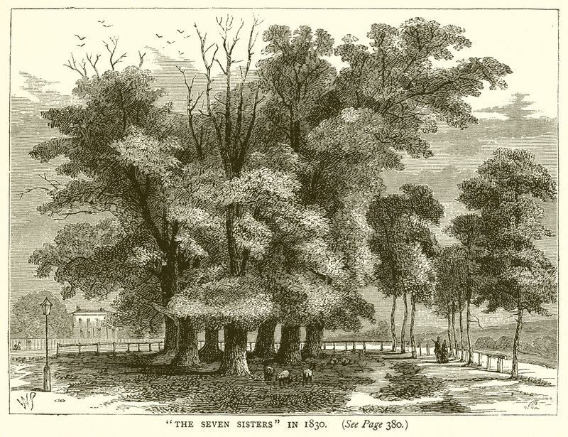 De syv søstre i 1830 av English School