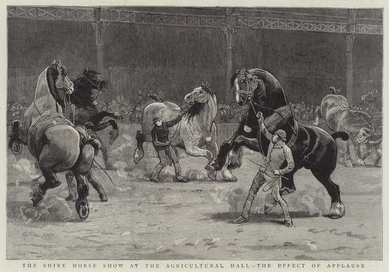 Shire Horse Show i Agricultural Hall, effekten av applaus (gravering) av English School