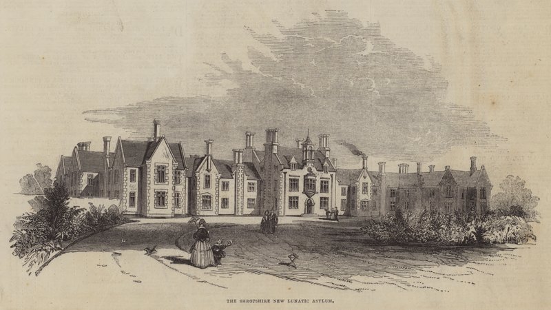 Shropshire New Lunatic Asylum av English School