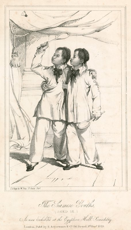 The Siamese Youths (18 år), en ny utstilling i Egyptian Hall, Piccadilly av English School