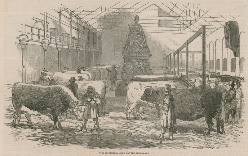 Smithfield Club Cattle Show Yard av English School