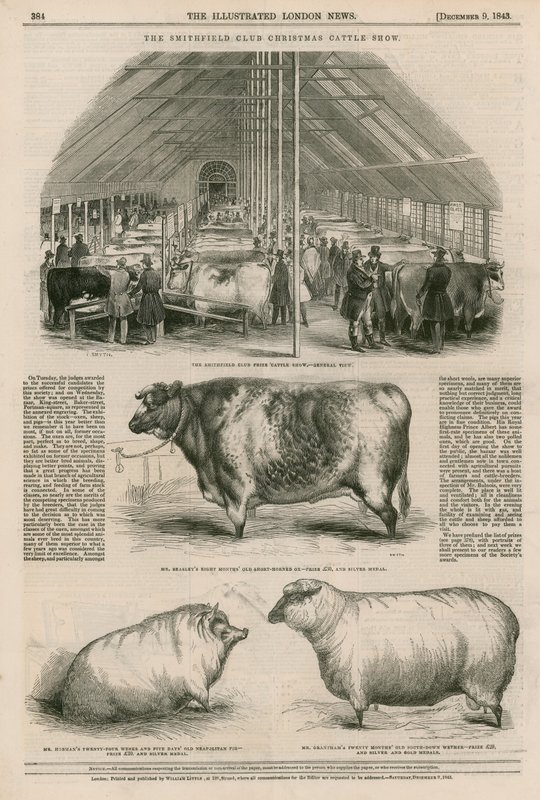 The Smithfield Club Christmas Cattle Show av English School