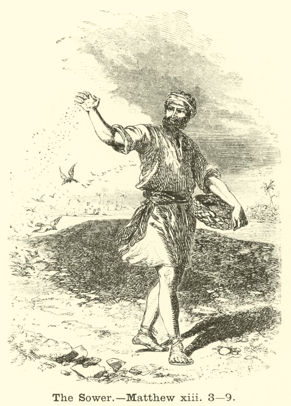 Såmannen, Matteus, xiii, 3, 9 av English School