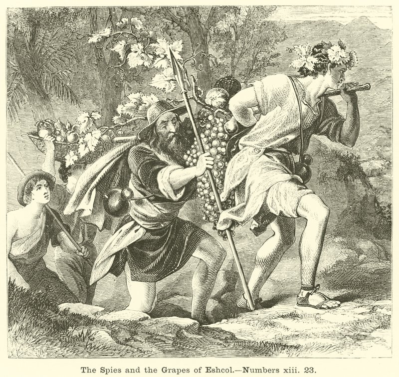 The Spies and the Grapes of Eshcol, Numbers, xiii, 23 av English School