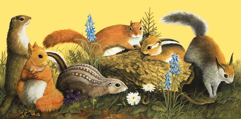 Ekornfamilien, illustrasjon fra «Det var en gang» (gouache på papir) av English School