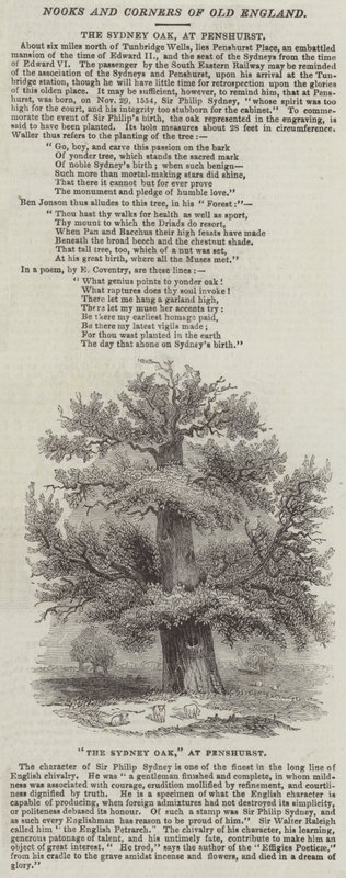 Sydney Oak, ved Penshurst (gravering) av English School