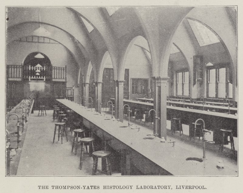 Thompson-Yates Histology Laboratory, Liverpool (gravering) av English School