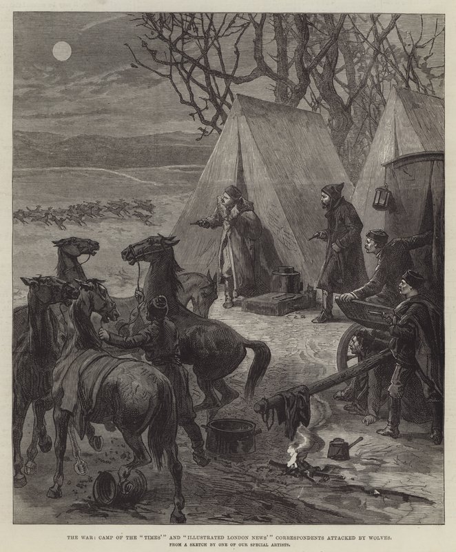 The War, Camp of the "Times" og "Illustrated London News" korrespondenter angrepet av Wolves (gravering) av English School