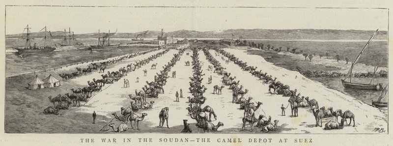 Krigen i Soudan, kameldepotet i Suez (gravering) av English School