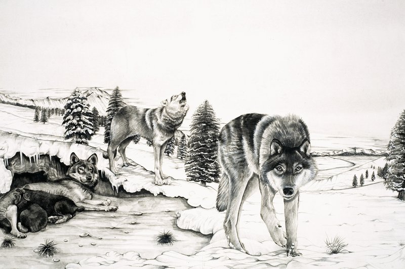 The World of Nature: 