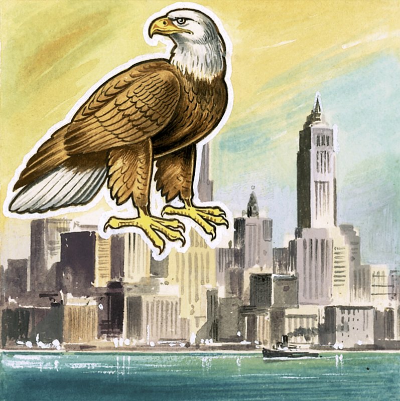 The Bald Eagle, emblem for USA av English School