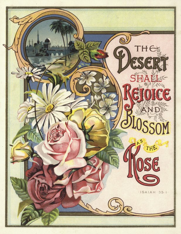 Ørkenen skal glede seg og blomstre som rosen av English School