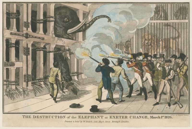 Ødeleggelsen av elefanten ved Exeter Change, 1. mars 1826 av English School