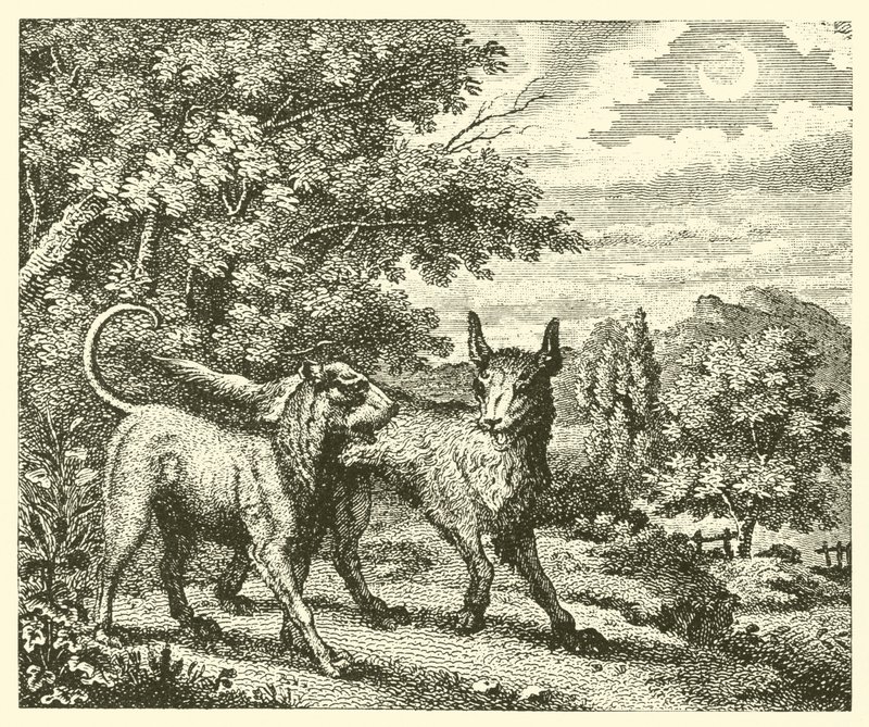 Hunden og ulven (gravering) av English School