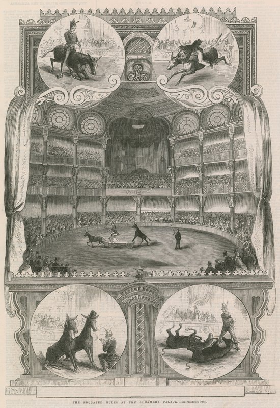 De utdannede muldyrene ved Alhambra-palasset, London av English School