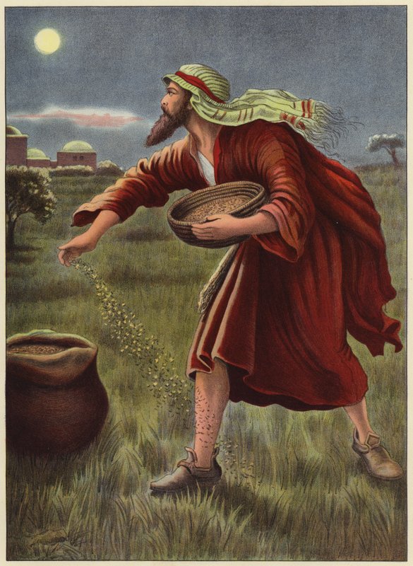 Fienden sår ugress (farge litho) av English School