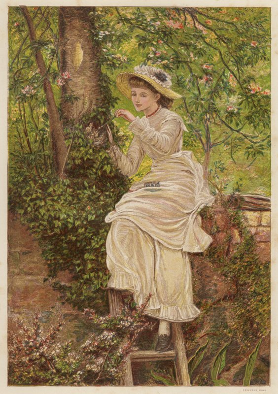 Fostermoren: ung kvinne som mater foreldreløse fugleunger i et reir (farge litho) av English School