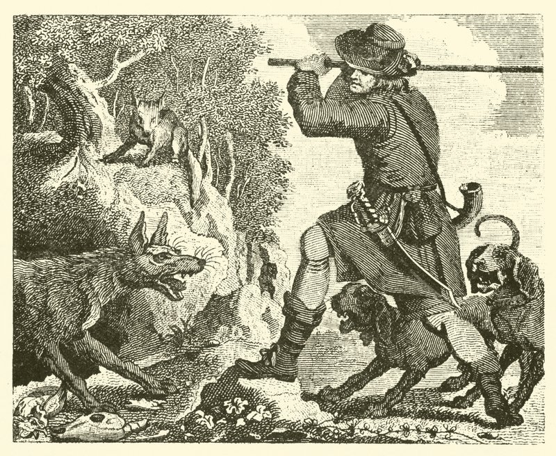 Reven og ulven (gravering) av English School