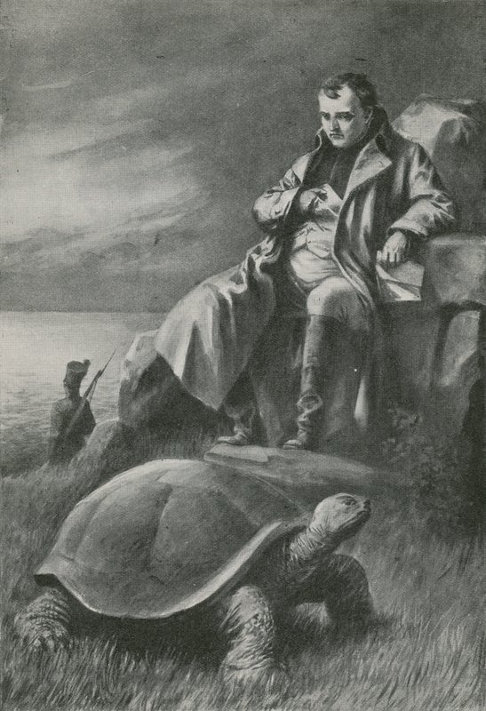 Den gigantiske skilpadden som så Napoleon av English School