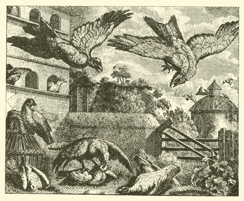 Dragen og duene (gravering) av English School