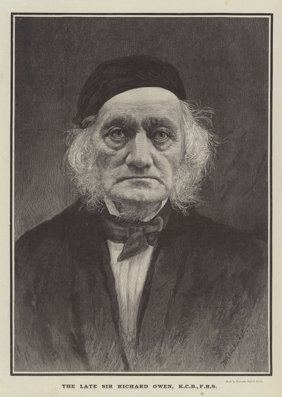 Avdøde Sir Richard Owen, KCB, FRS (gravering) av English School