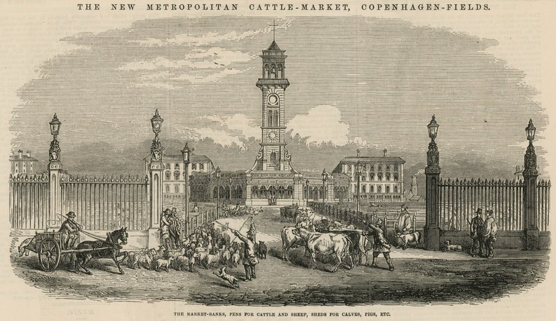 Det nye Metropolitan Cattle Market, Copenhagen Fields av English School