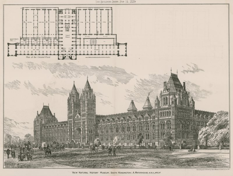 Det nye Natural History Museum, South Kensington, London av English School