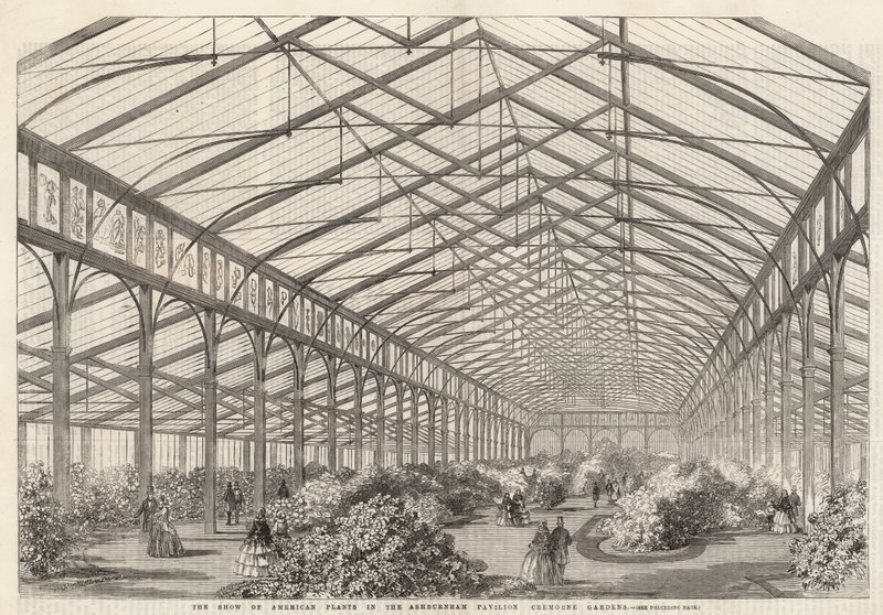 Showet av amerikanske planter i Ashburham Pavilion, Cremorne Gardens av English School