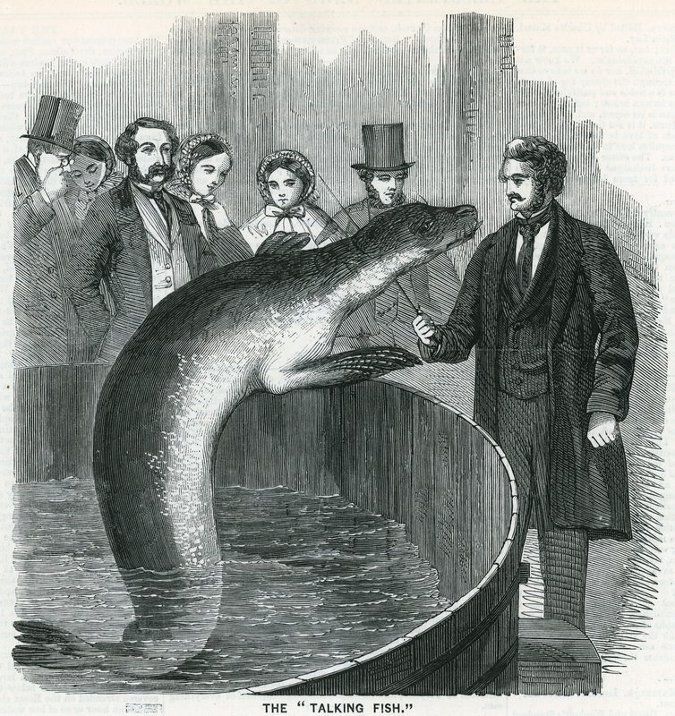 Den snakkende fisken av English School