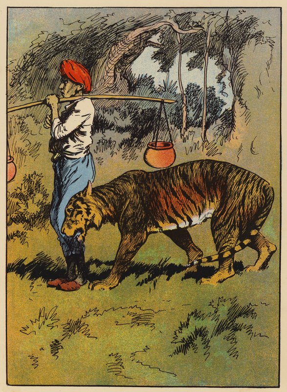 Tigeren gnir seg mot mannens ben (farge litho) av English School
