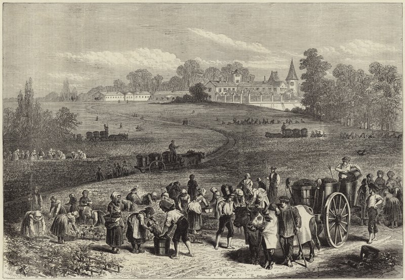 Årgangen i Medoc av English School