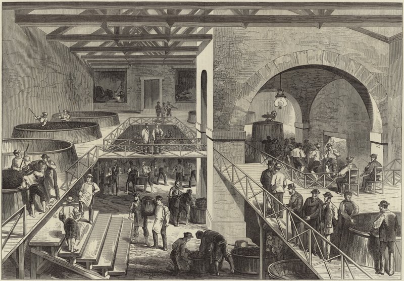 Årgangen til Medoc av English School