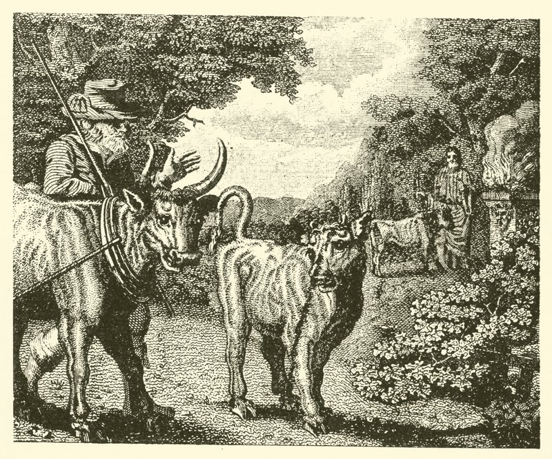 Den uføre kalven (gravering) av English School