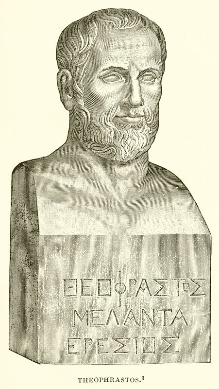 Theophrastos av English School