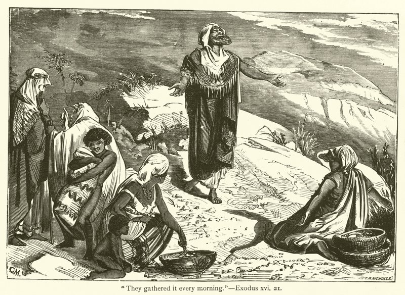 "De samlet det hver morgen", Exodus, xvi, 21 (gravering) av English School