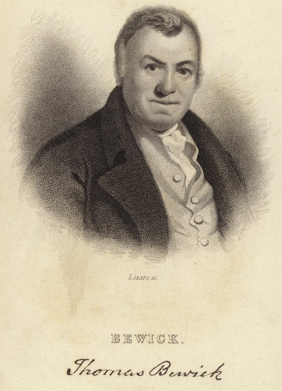 Thomas Bewick av English School