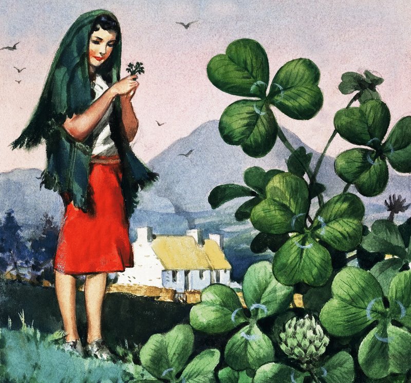 Trekløver, det nasjonale emblemet til Irland av English School