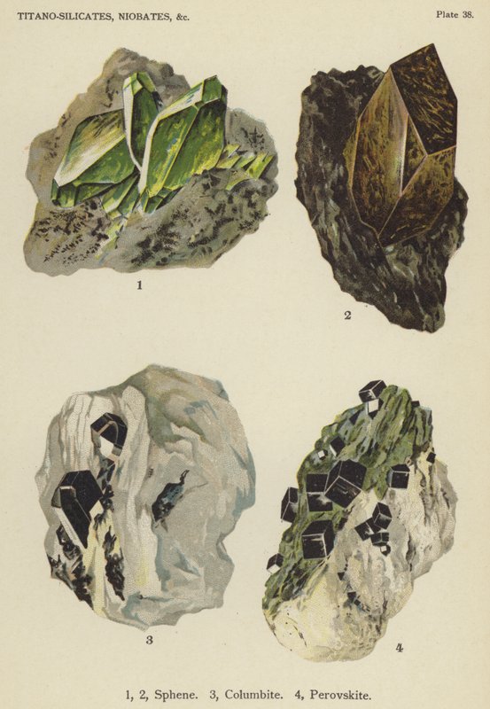 Titanosilikater, niobater, sfen, kolumbitt, perovskitt (farge litho) av English School