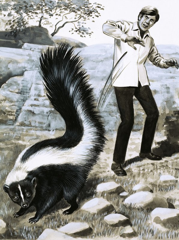Tooth and Claw: The Skunk av English School