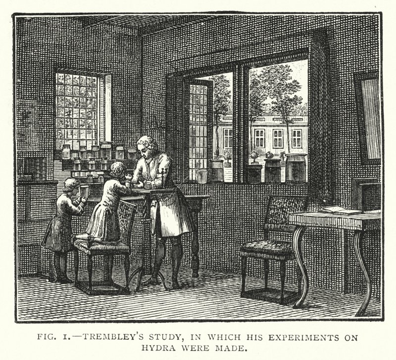Trembleys studie, der hans eksperimenter på Hydra ble laget (gravering) av English School