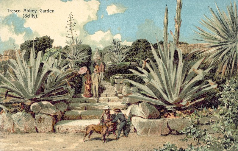 Tresco Abbey Garden, Scilly Isles, Cornwall (litho-farge) av English School
