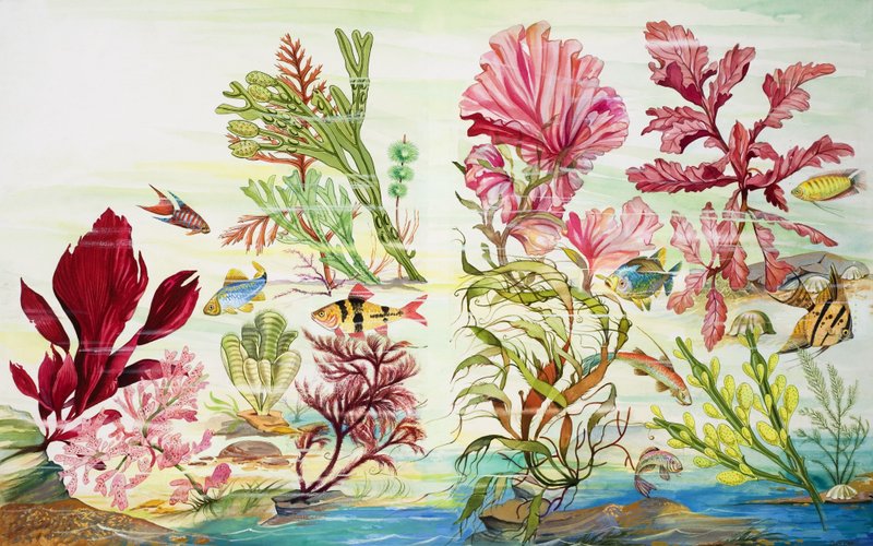 Undervannsplanter (gouache på papir) av English School