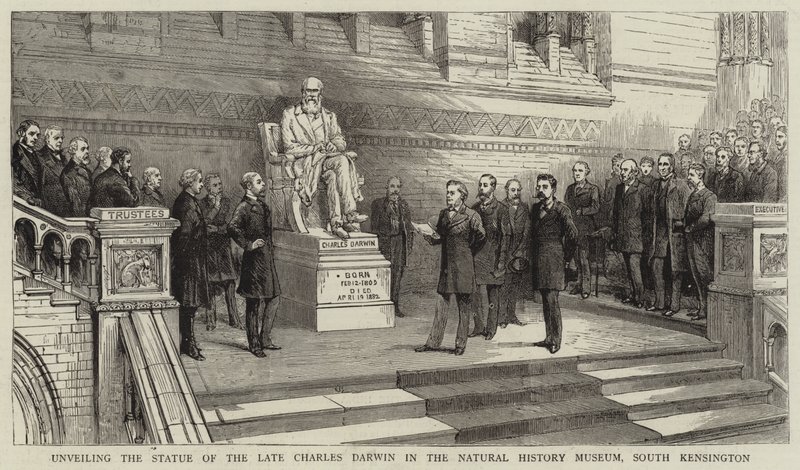 Avduking av statuen av avdøde Charles Darwin i Natural History Museum, South Kensington av English School