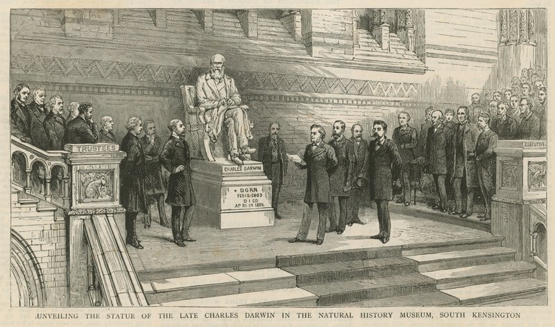 Avduking av statuen av avdøde Charles Darwin i Natural History Museum, South Kensington av English School