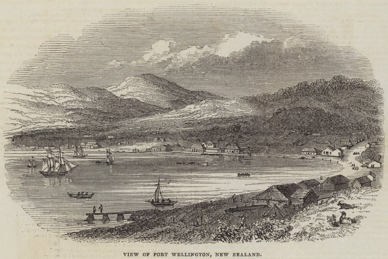 Utsikt over Port Wellington, New Zealand (gravering) av English School