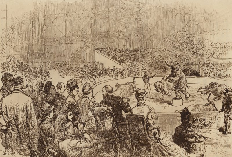 Besøk av prinsen og prinsessen av Wales og kongen og dronningen av Hellas, 1876 av English School