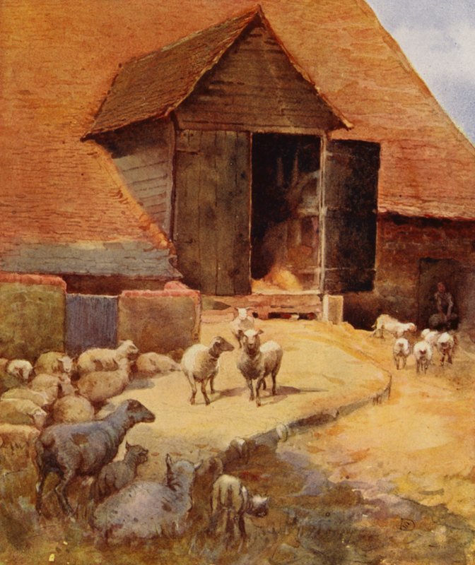 Venter på å bli klippet (farge litho) av English School
